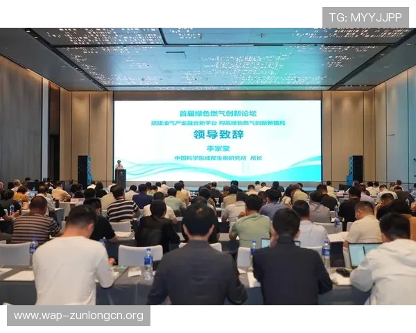 尊龙时凯中国：用户体验优化与售后服务提升策略全面解析