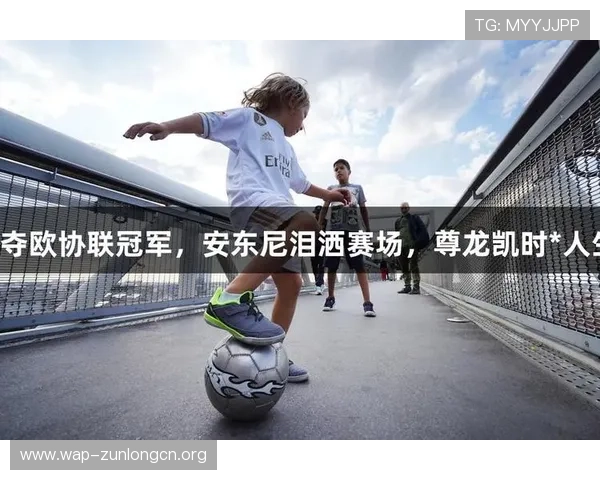 尊龙凯时网页版升级带来的新功能介绍，丰富你的游戏玩法和互动体验